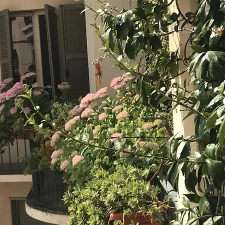 Kwatera prywatna Alicia'S Guest House Parma